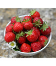 Bild 1 von Erdbeere 'Aromastar', 8er Schale