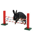 Bild 3 von KERBL Agility Nagerspielzeug Steilsprung, ca. B70/H35/T5 cm