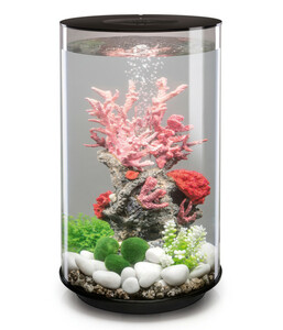 biOrb® Aquarium TUBE 30 MCR