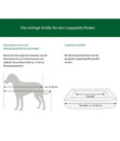 Bild 4 von petlando® Orthopädisches Hundebett Lima Ortho