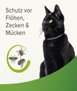Bild 3 von beaphar Zecken- und Flohschutzband für Katzen, 35cm