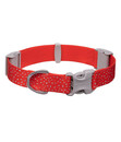 Bild 1 von RUFFWEAR® Hundehalsband Confluence™ Red Sumac, L