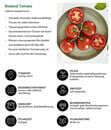 Bild 4 von Bioland Tomate, veredelt