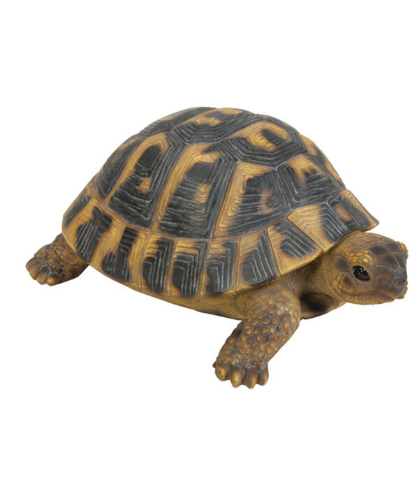 Bild 1 von Dehner Polyresin-Landschildkröte