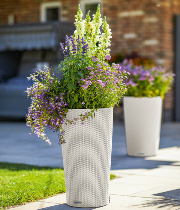 Bild 2 von LECHUZA® Kunststoff-Säule Cilindro Cottage inkl. Pflanzeinsatz, konisch