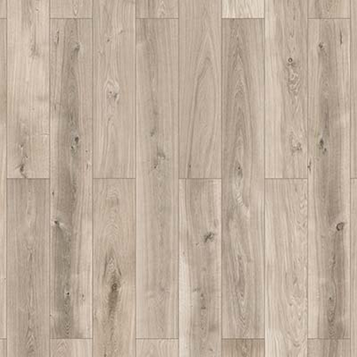 Bild 1 von toomEigenmarken - 
            toom Greenvinyl Eiche grau