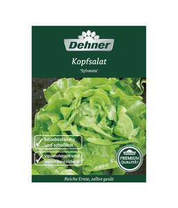 Dehner Premium Samen Kopfsalat 'Sylvesta'