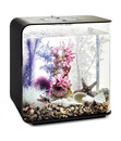 Bild 4 von biOrb® Aquariumdeko Decor Set 30 l Pink Ocean