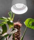 Bild 2 von Pflanzenlampe Indoor Plants, 18 Watt