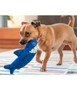 Bild 3 von Red Dingo Hundespielzeug DURABLES Toys Hai
