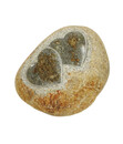Bild 1 von Dehner Stein mit zwei Herzen, klein, 18 x 15 x 10 cm