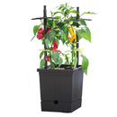 Bild 4 von Powertec Garden Pflanztopf mit Rankhilfe und Wasserspeicher