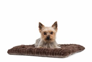 TrendPet Tierdecke »Hundedecke "Heaven" Braun«, in 6 Größen erhältlich