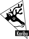 Bild 2 von Karibu Systemsauna Kiara Set 1