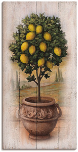 Artland Wandbild Zitronenbaum mit Holzoptik, Bäume, (1 St.)