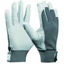 Bild 1 von Handschuhe Uni Fit Comfort Größe 9, L aus Ziegenleder in hellgrau