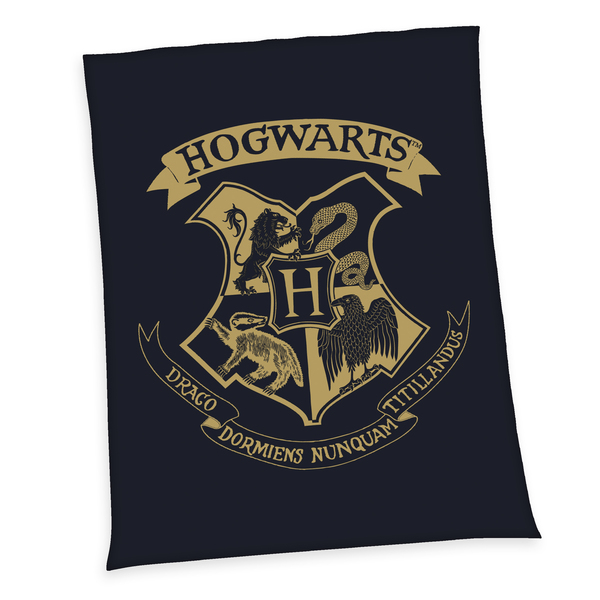 Bild 1 von Harry Potter Wellsoft-Flauschdecke, Größe: 150 x 200 cm