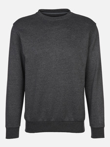 Herren Sweatshirt mit rundem Ausschnitt
                 
                                                        Grau