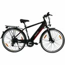 Bild 2 von maxtron Trekking E-Bike MT 11 mit Heckmotor