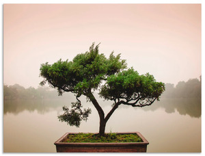 Artland Wandbild Chinesischer Bonsaibaum, Bäume, (1 St.), in vielen Größen & Produktarten - Alubild / Outdoorbild für den Außenbereich, Leinwandbild, Poster, Wandaufkleber / Wandtattoo auch für
