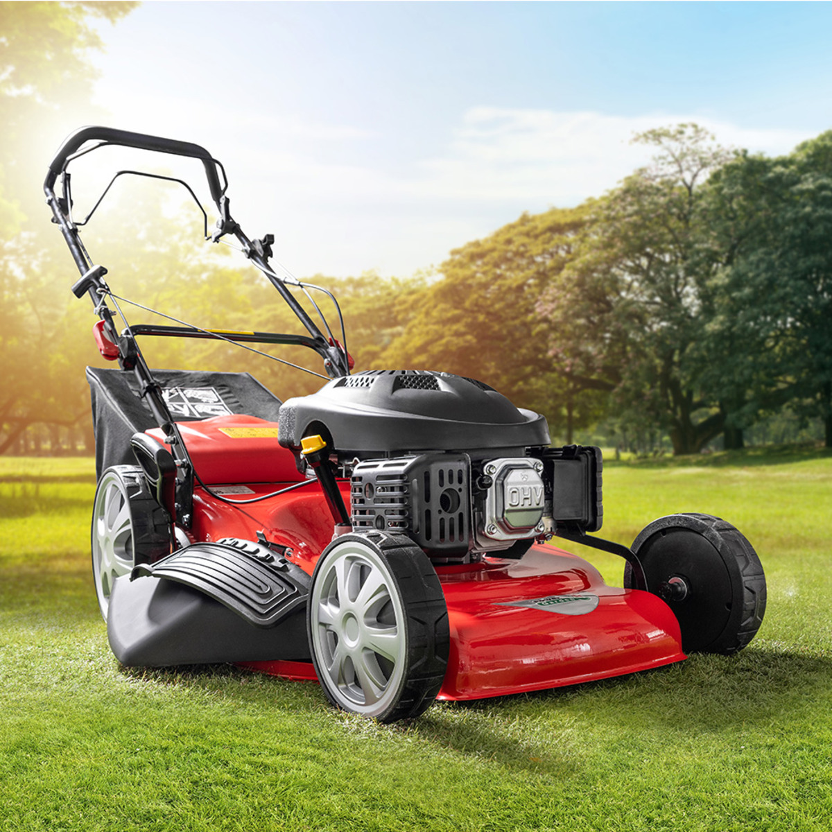 Powertec Garden BenzinRasenmäher PT 56 RMHW von Norma ansehen!