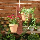 Bild 1 von Gardenguard Blumenampel, braun