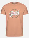 Bild 1 von Jack&Jones JJMINDS TEE SS CREW N Shirt
                 
                                                        Orange