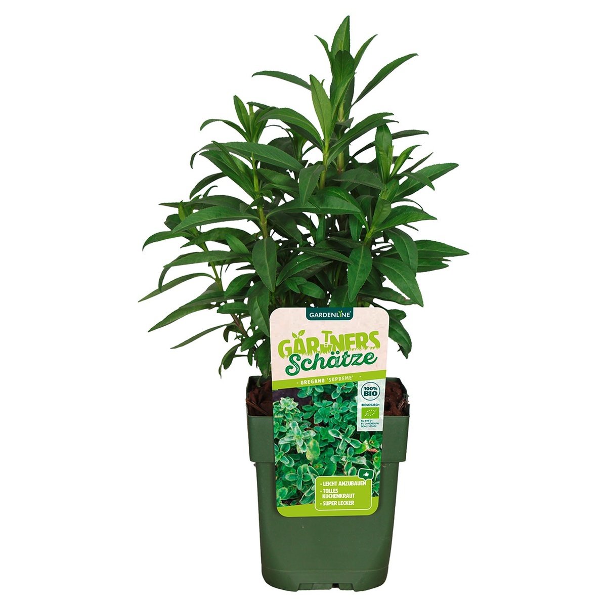 Bild 2 von Bio-Outdoorküche Obstmix und Kräuter T13