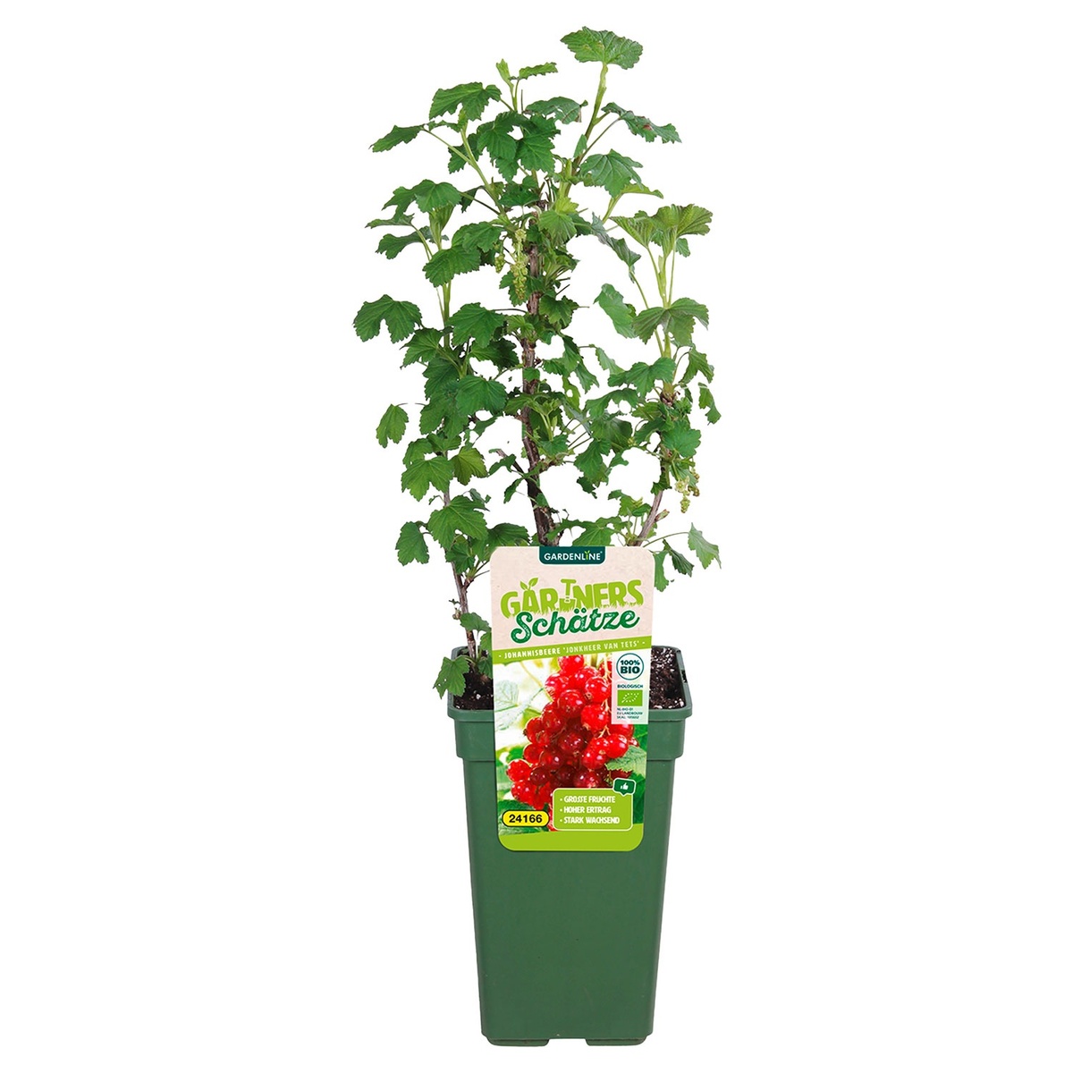 Bild 4 von Bio-Outdoorküche Obstmix XL T19