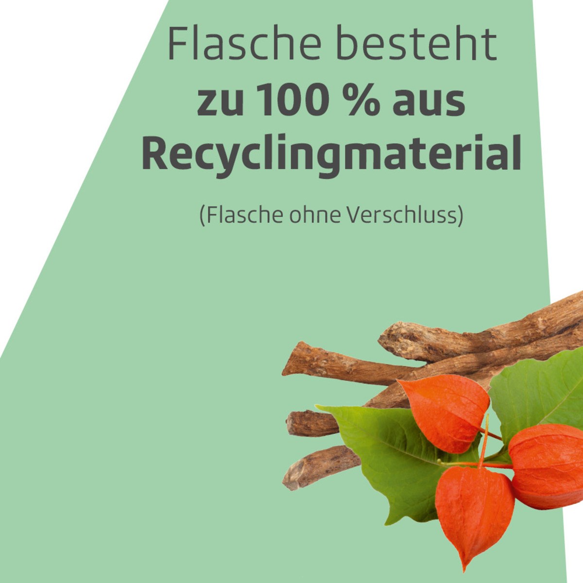 Bild 4 von altapharma Naturgeheimnisse Ashwagandha