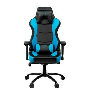 MEDION ERAZER® X89018 Gaming Stuhl, stilvoll und komfortabel, sportliche Optik und hochwertige Materialien, mit 2 Kissen für den Rücken- und Kopfbereich