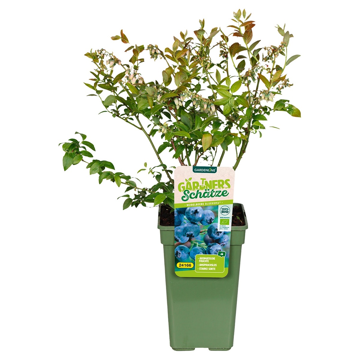 Bild 3 von Bio-Outdoorküche Obstmix und Kräuter T13