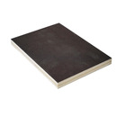 Bild 1 von Siebdruckplatte Birke 2500 x 1250 x 15