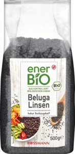 enerBiO Beluga-Linsen
