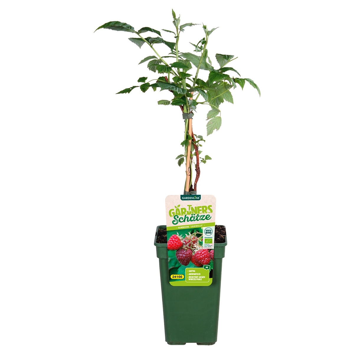 Bild 1 von Bio-Outdoorküche Obstmix XL T19