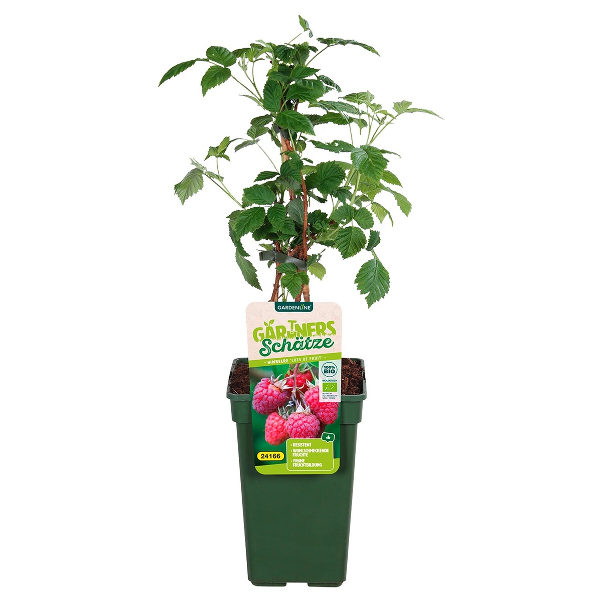 Bild 3 von Bio-Outdoorküche Obstmix XL T19