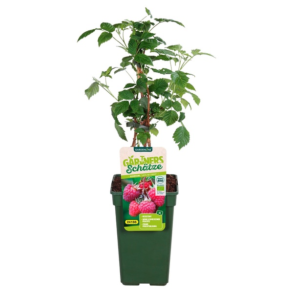 Bild 3 von Bio-Outdoorküche Obstmix XL T19