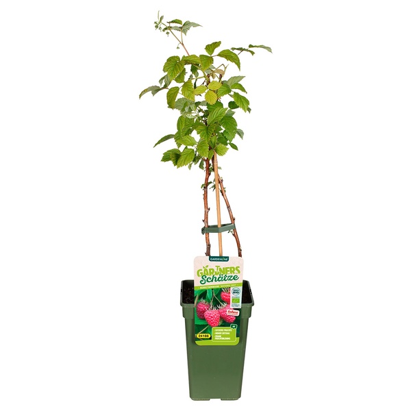 Bild 2 von Bio-Outdoorküche Obstmix XL T19