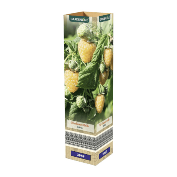 Bild 2 von GARDENLINE Himbeere