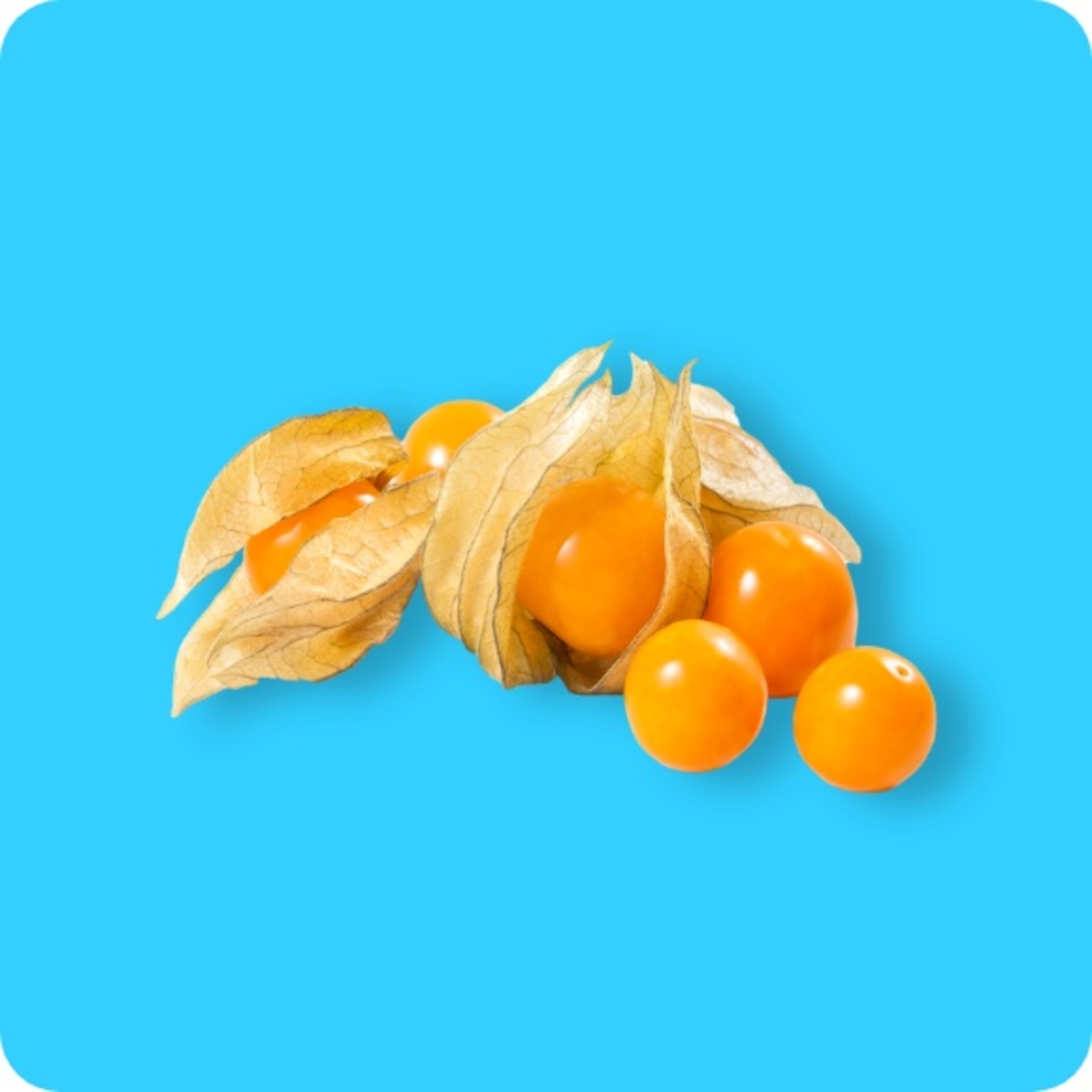 Bild 1 von   Physalis / Bio-Physalis, Ursprung: Kolumbien / Peru