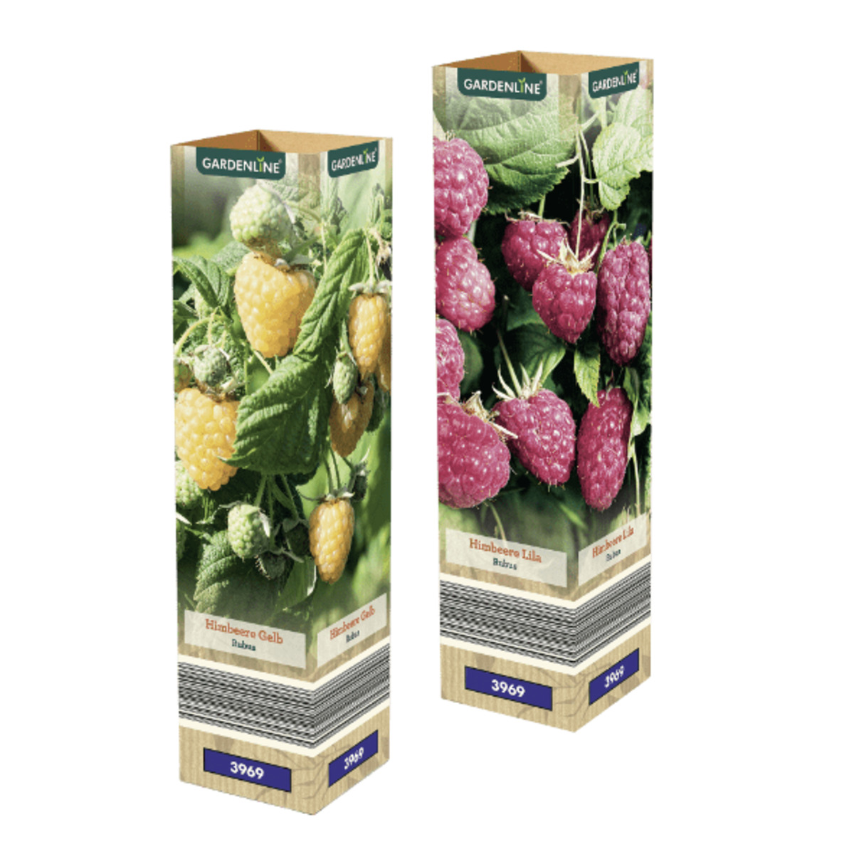 Bild 1 von GARDENLINE Himbeere