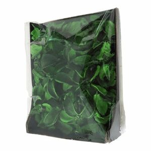 Star Home Decor Baumwollköpfe grün Dekomix 20 x 15 x 4,5 cm