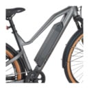 Bild 4 von PROPHETE SUV E-Bike