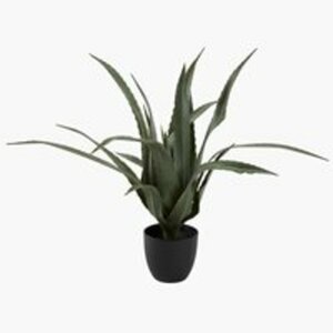 Kunstpflanze CELIUS H65cm Aloe Vera