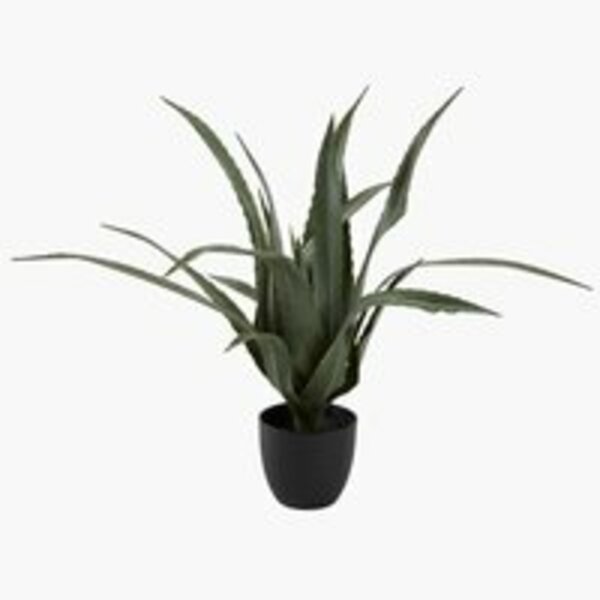 Bild 1 von Kunstpflanze CELIUS H65cm Aloe Vera