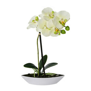 Kunstpflanze, Grün, Weiß, Hellgrün, Kunststoff, 30 cm, inkl. Topf, Dekoration, Blumen & Zubehör, Kunstpflanzen