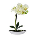 Bild 1 von Kunstpflanze, Grün, Weiß, Hellgrün, Kunststoff, 30 cm, inkl. Topf, Dekoration, Blumen & Zubehör, Kunstpflanzen