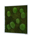 Bild 2 von Bild aus Wald- und Kugelmoos, quadratisch, ca. B55/H55/T6 cm