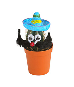 Kaktus, mit Sombrero