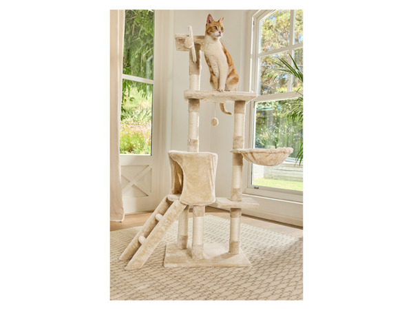 zoofari® Kratzbaum, mit Plüschbällen und Kletterleiter von Lidl ansehen!